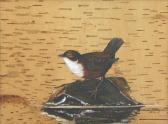 MCKENZIE Charlie Bird A River Stone MCKENZIE Charlie Bird A River Stone