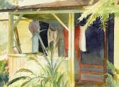 MCLAREN ROSE MARGUERITE Jack's Shack MCLAREN ROSE MARGUERITE Jack's Shack