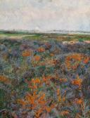 MEDIZ-PELIKAN Emilie Sea Buckthorn In Knokke MEDIZ-PELIKAN Emilie Sea Buckthorn In Knokke
