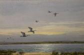 MEGORAN Winston Estuary Dawn MEGORAN Winston Estuary Dawn