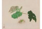 MEIJI Hashimoto Giant Katydid MEIJI Hashimoto Giant Katydid