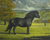MELLIN Jeanne Shetland Pony In A Landscape MELLIN Jeanne Shetland Pony In A Landscape