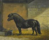MELLIN Jeanne Shetland Pony In A Stable MELLIN Jeanne Shetland Pony In A Stable