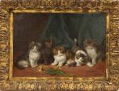 MERLIN Daniel Five Long-haired Kittens MERLIN Daniel Five Long-haired Kittens