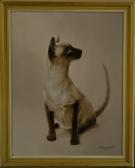MERRY Dot Study Of A Siamese Cat MERRY Dot Study Of A Siamese Cat