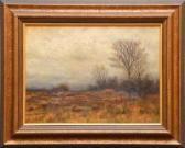 METCALFE Landscape /w Tree's METCALFE Landscape /w Tree's