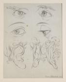 Mettenleiter Joeph Anatomisches Studienblatt Mettenleiter Joeph Anatomisches Studienblatt