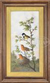 meucci michelangelo Three Song Birds meucci michelangelo Three Song Birds