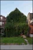 MEYER Max Untitled (overgrown Series) MEYER Max Untitled (overgrown Series)