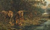 MEYERHEIM Paul Friedrich Lions By The River MEYERHEIM Paul Friedrich Lions By The River