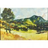 Michael Johnson Australian Landscape Michael Johnson Australian Landscape