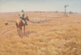 MIDDLETON Max Droving MIDDLETON Max Droving