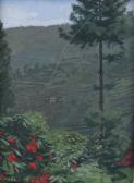 MIERS Christopher Rhododendrons And Terracing Nepal MIERS Christopher Rhododendrons And Terracing Nepal