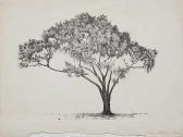 MIHALIK Julius Tree Study MIHALIK Julius Tree Study