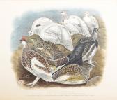 MILLAIS John Guille Game Birds And Shooting-sketches MILLAIS John Guille Game Birds And Shooting-sketches