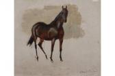 MILLAIS Raoul Bay Stallion MILLAIS Raoul Bay Stallion