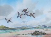 MILLIKEN Robert W. Mallards Over Strangford Lough MILLIKEN Robert W. Mallards Over Strangford Lough