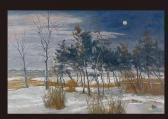 MINAMIOJI Hajime Snow Landscape Under Monn MINAMIOJI Hajime Snow Landscape Under Monn