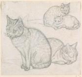 MIND Gottfried A Double Sketch Of Two Cats MIND Gottfried A Double Sketch Of Two Cats