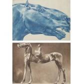 MIORI Luciano Untitled (horse And Rider) MIORI Luciano Untitled (horse And Rider)