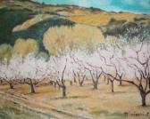 MISISCHI Jean Pecher En Fleurs Dans La Plaine De La Siagne MISISCHI Jean Pecher En Fleurs Dans La Plaine De La Siagne