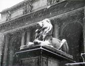 MITCHELL Benn New York Publiclibrary MITCHELL Benn New York Publiclibrary