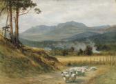 MITCHELL John Campbell Sheep On The Hill Road, Aberdeenshire MITCHELL John Campbell Sheep On The Hill Road, Aberdeenshire