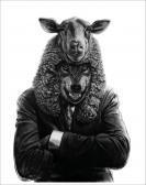 MLADIN Valeriu Animal Politic 9 MLADIN Valeriu Animal Politic 9