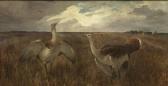 MODROVICH Gabor Bustards In A Puszta Landscape MODROVICH Gabor Bustards In A Puszta Landscape
