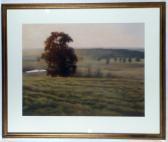MOELLER Terry Landscape MOELLER Terry Landscape