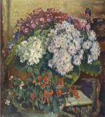 MOLL Evert Pot Plants In An Interior MOLL Evert Pot Plants In An Interior