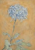 MONDRIAN Piet Chrysanthemum MONDRIAN Piet Chrysanthemum