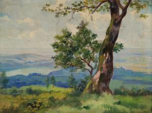 Prezzi e stime delle opere di Carlo Montani