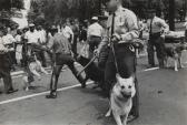 MOORE CHARLES Dogs Used By Birmingham, Ala. Cops To Quell Negro Race Riots MOORE CHARLES Dogs Used By Birmingham, Ala. Cops To Quell Negro Race Riots