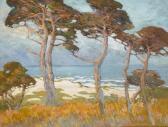 MORGAN Mary DeNeale Cypress At Monterey MORGAN Mary DeNeale Cypress At Monterey
