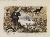 MORIN Adolphe Konvolut: 2 Stk. Tierdarstellungen MORIN Adolphe Konvolut: 2 Stk. Tierdarstellungen