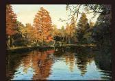 MORITA Nobuo Automn View Of Inogashira MORITA Nobuo Automn View Of Inogashira