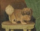 morlaux, g. Portrait Of A Pekingese morlaux, g. Portrait Of A Pekingese