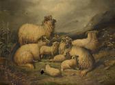 MORRIS Alfred Sheep On A Hillside MORRIS Alfred Sheep On A Hillside