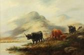 MORRIS john Highland Cattle Grazing MORRIS john Highland Cattle Grazing