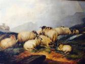 MORRIS W. Troupeau De Moutons MORRIS W. Troupeau De Moutons
