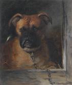 MORRISON Alexander In The Kennel MORRISON Alexander In The Kennel