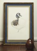 MORRISON Gordon Canadian Goose MORRISON Gordon Canadian Goose