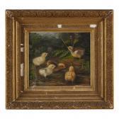 MORSE N.E. Chicks Catching Insects MORSE N.E. Chicks Catching Insects