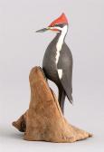 MORSE Robert Pileated Woodpecker MORSE Robert Pileated Woodpecker