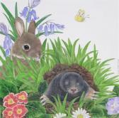 MORTIMER Anne A Mole Woke Her Up MORTIMER Anne A Mole Woke Her Up