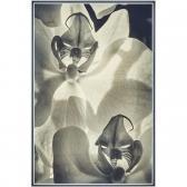 MOSSANEN MIRELLA Orchid MOSSANEN MIRELLA Orchid