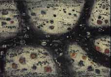 Hugo Ruef Auctions Sales Auction Prices