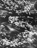 MUENCH David Portfolio Of Ten Nature Photographs MUENCH David Portfolio Of Ten Nature Photographs