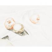MUNN Kathleen Jean Still Life With Three Apples MUNN Kathleen Jean Still Life With Three Apples